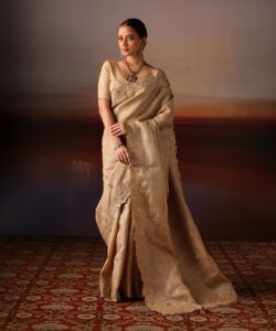 Home Tissue Applique Muga Saree